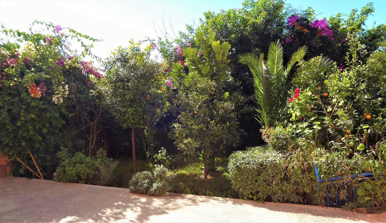 Surf & Yoga Paradise Morocco Vandrehjem Tamraght Ou Fella Eksteriør billede