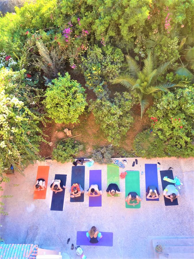 Surf & Yoga Paradise Morocco Vandrehjem Tamraght Ou Fella Eksteriør billede